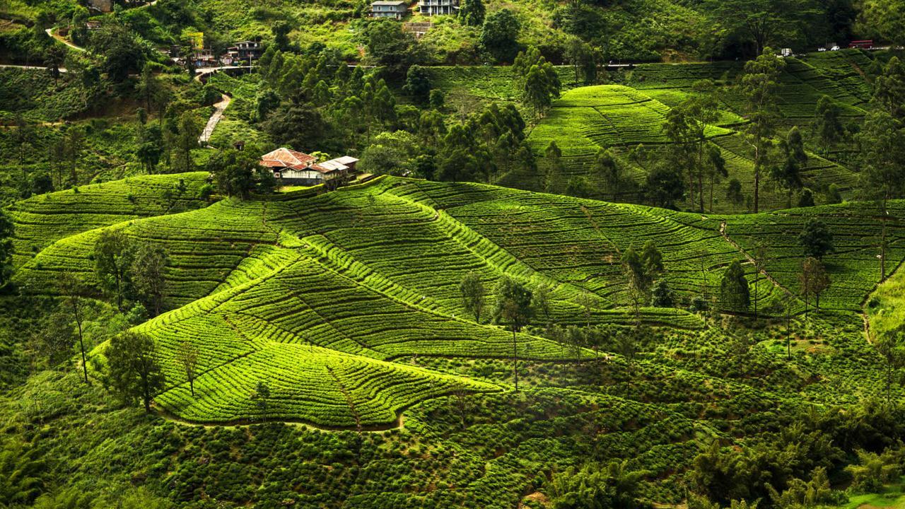 Kirula Green Hotel Nuwara Eliya Eksteriør bilde