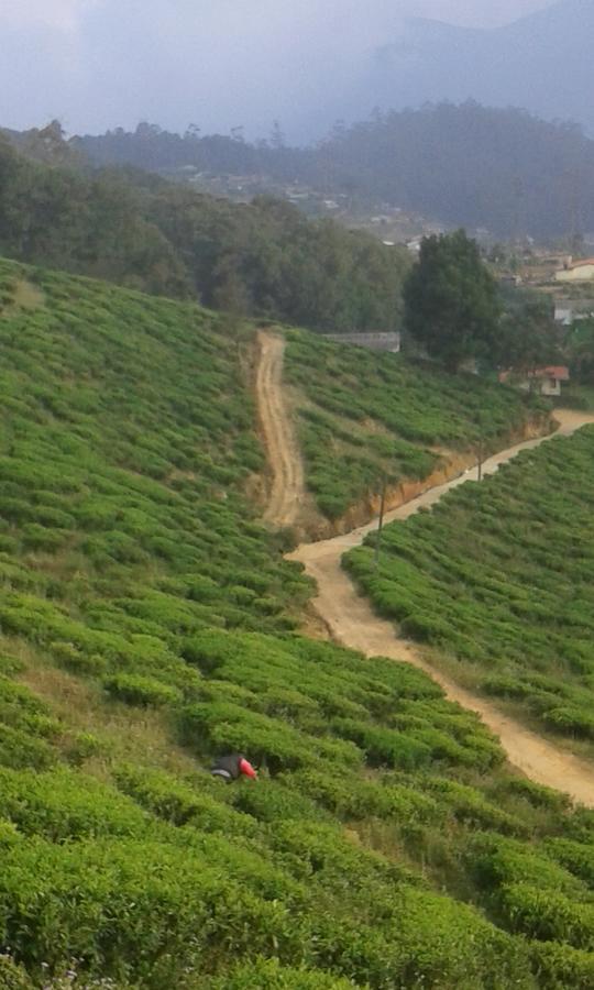 Kirula Green Hotel Nuwara Eliya Eksteriør bilde